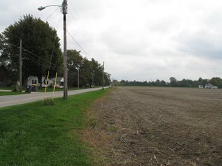 Property photo 6 - 76.8 +/- Acres Mostly Tillable - Land Auction